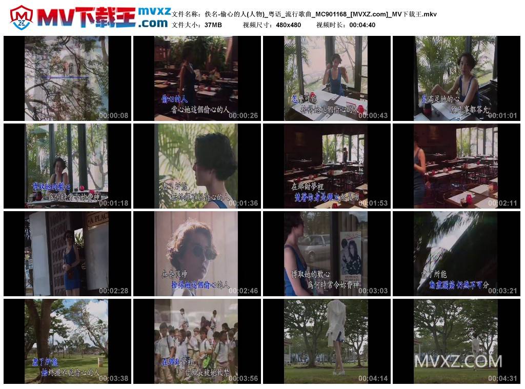佚名-偷心的人(人物)_粤语_流行歌曲_MC901168